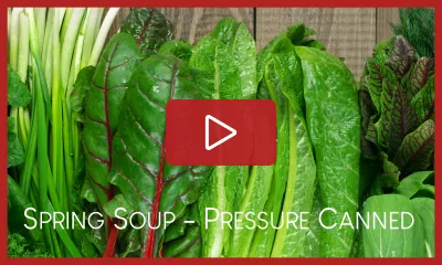how to pressure can spring soup workshop