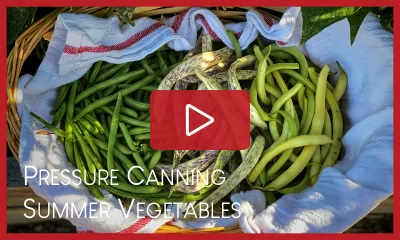 Pressure Canning Summer Vegetables